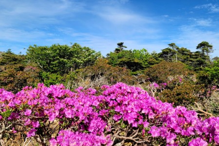 [제주][성산포시] 드론항공평생교육원 박규영 회원님의  한라산 작품입니다!