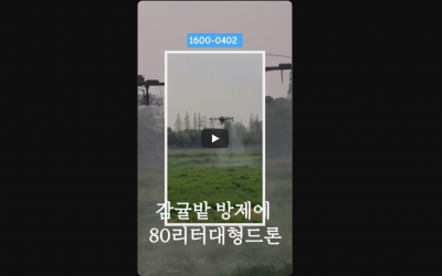 감귤밭 대형드론으로 방제해 드립니다.